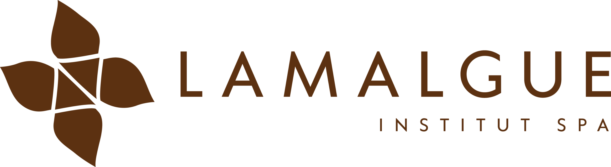 Institut Lamalgue
